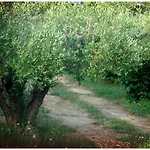 Andronikis House Tatil Evi *