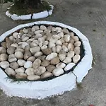 Andronikis House *