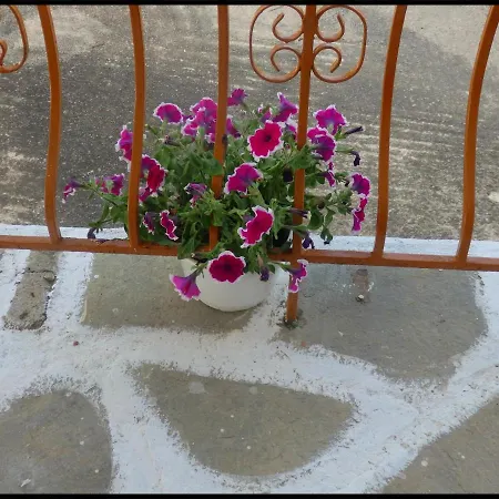 Andronikis House *