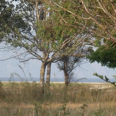 Dom wakacyjny Andronikis House *