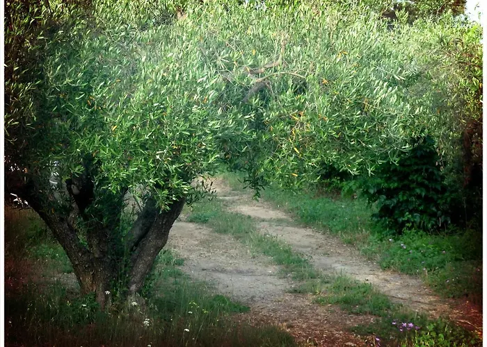 Andronikis House Prázdninový dům *