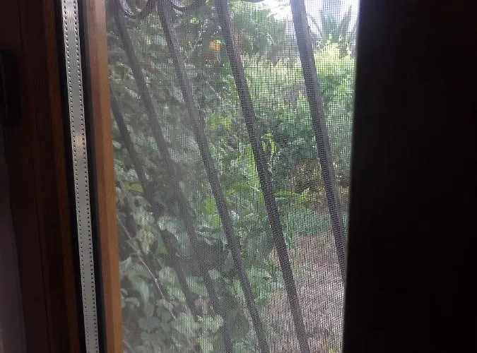 Prázdninový dům Andronikis House Sykia Chalkidikis