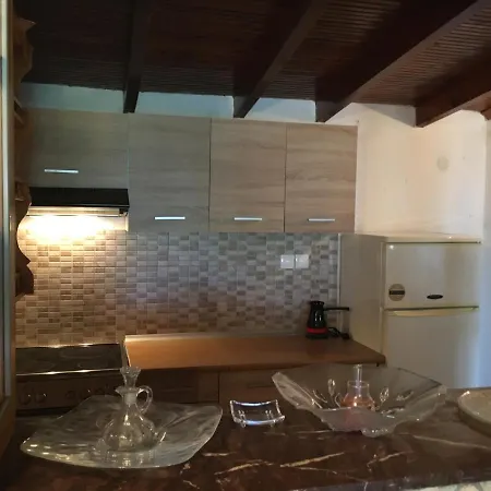 Andronikis House